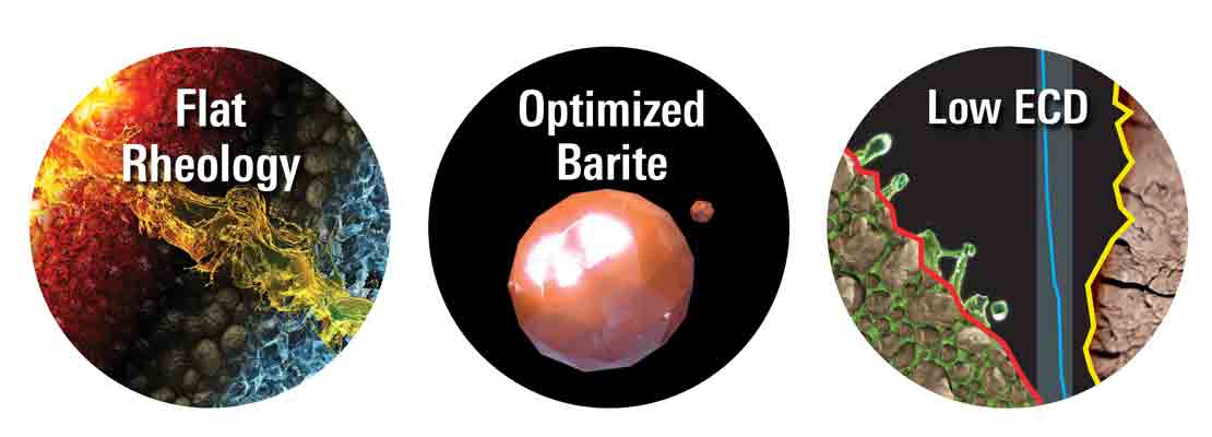 RheGuard key features