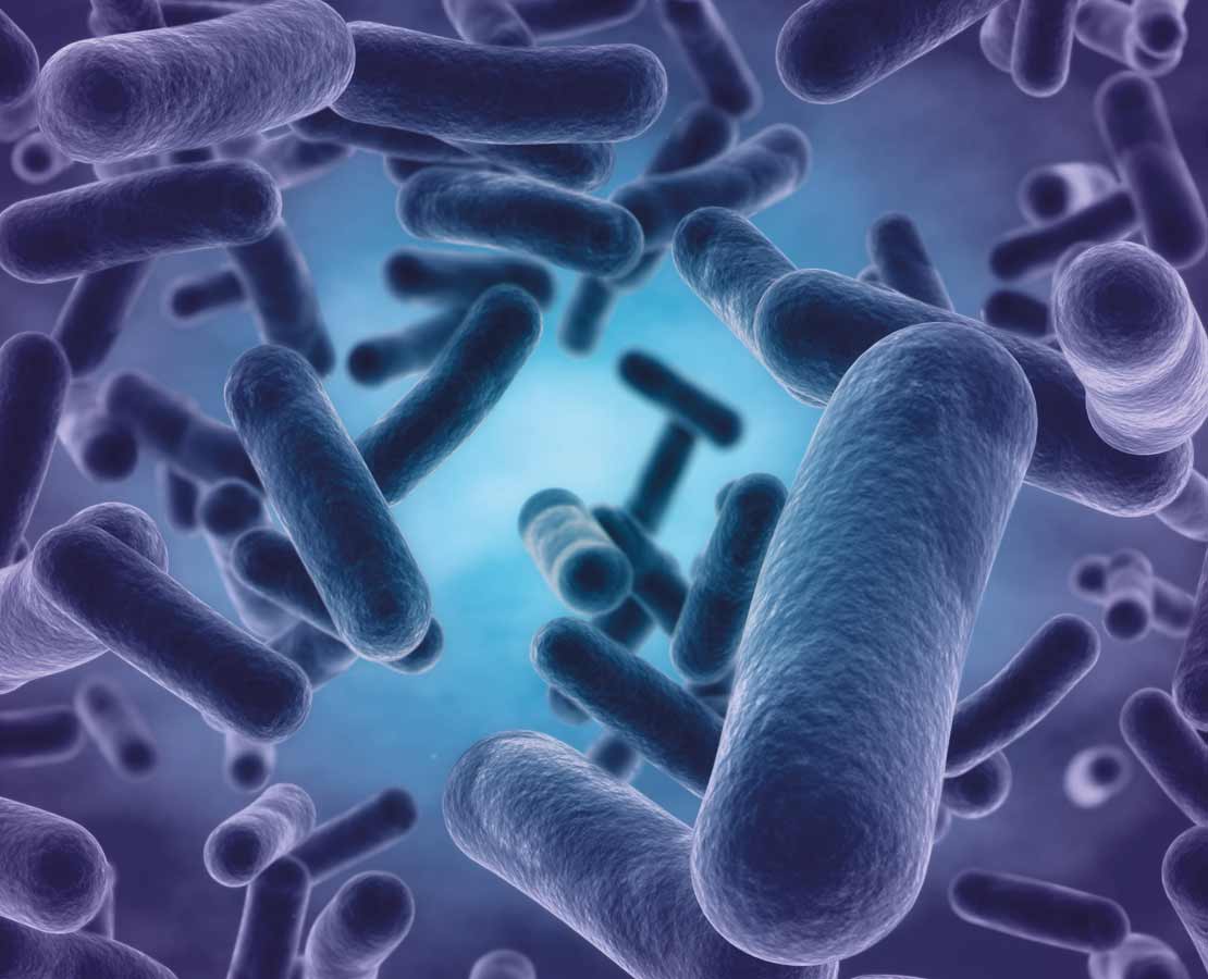Microbiology