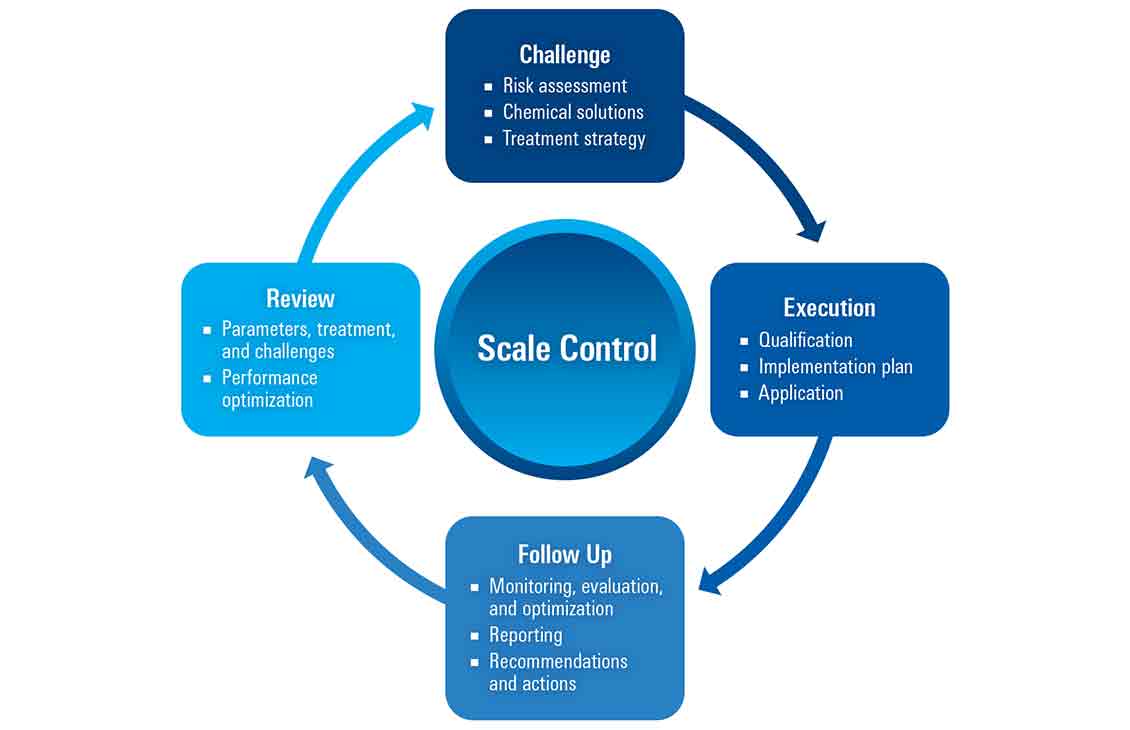 Diagram showing 4-step approach to scale management: assessment, strategy implementation, monitoring, and review.