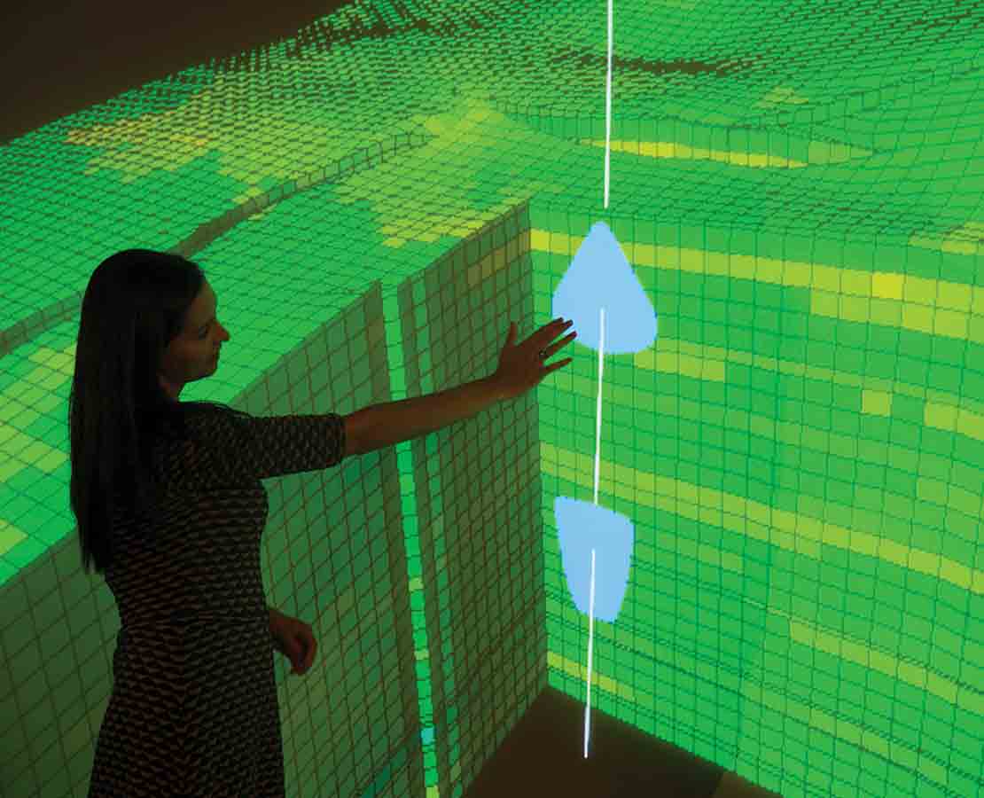 Woman Looking at Data