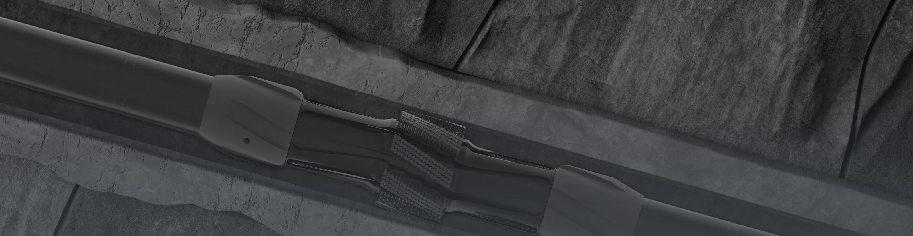 bristle back - hero image