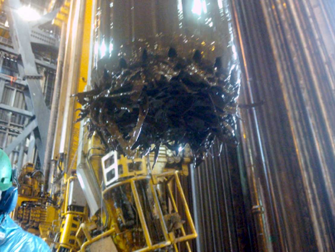 Magnoshoe specialized magnet 