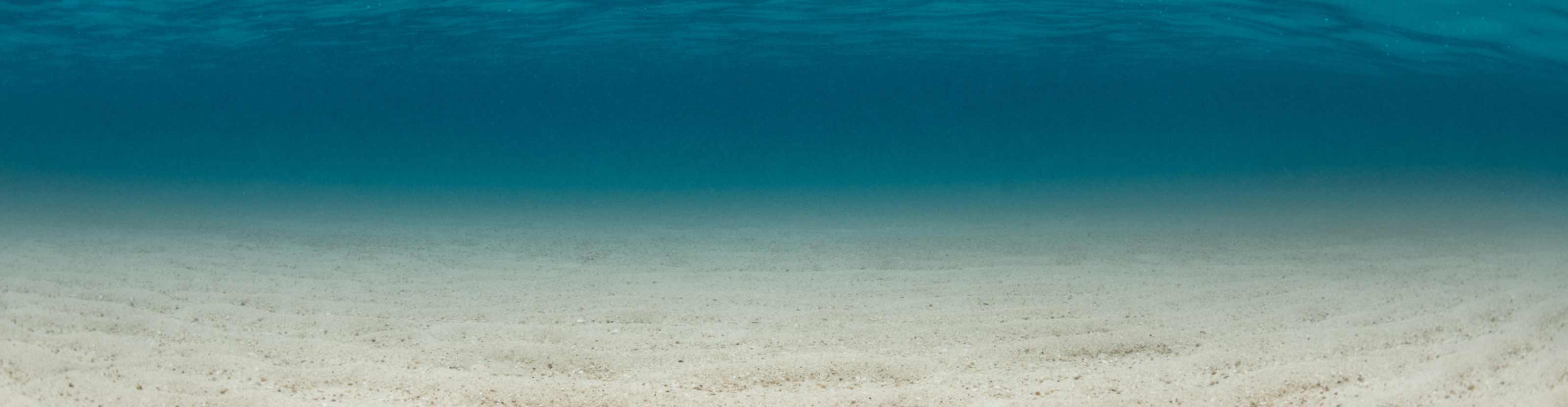 MOZLEY-FLUIDIZER-Settled-Solids-Remover