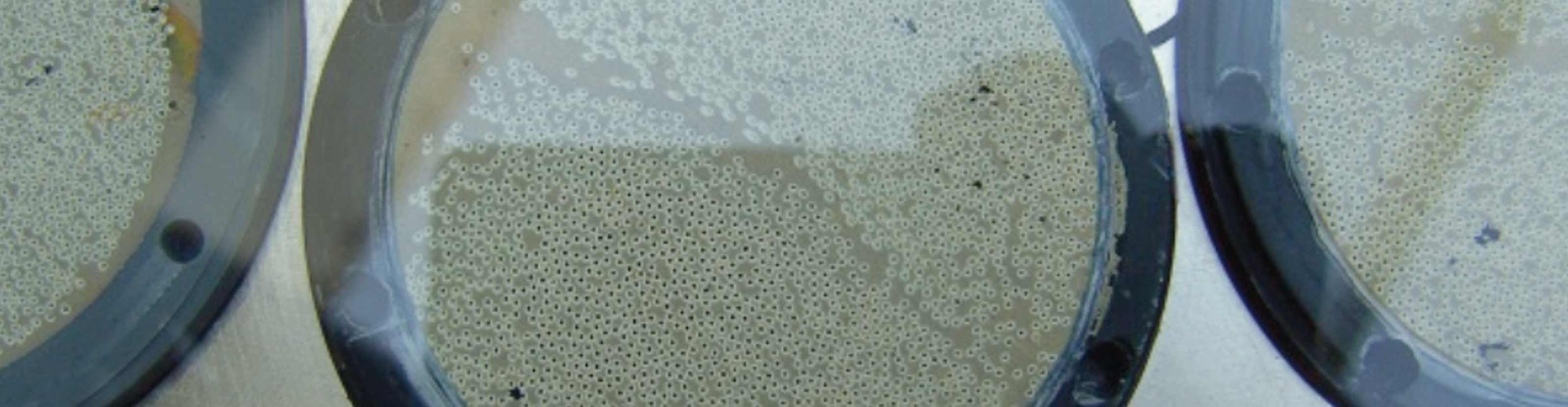 polymem-uf-ultrafiltration-system