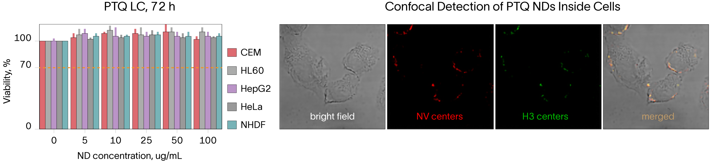Image of cytotoxicity study using ND imaging.