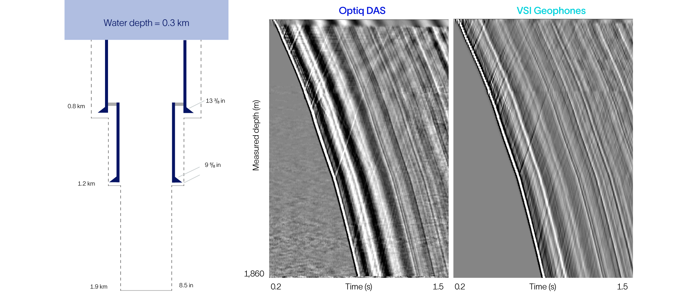 VSP raw field stacks.