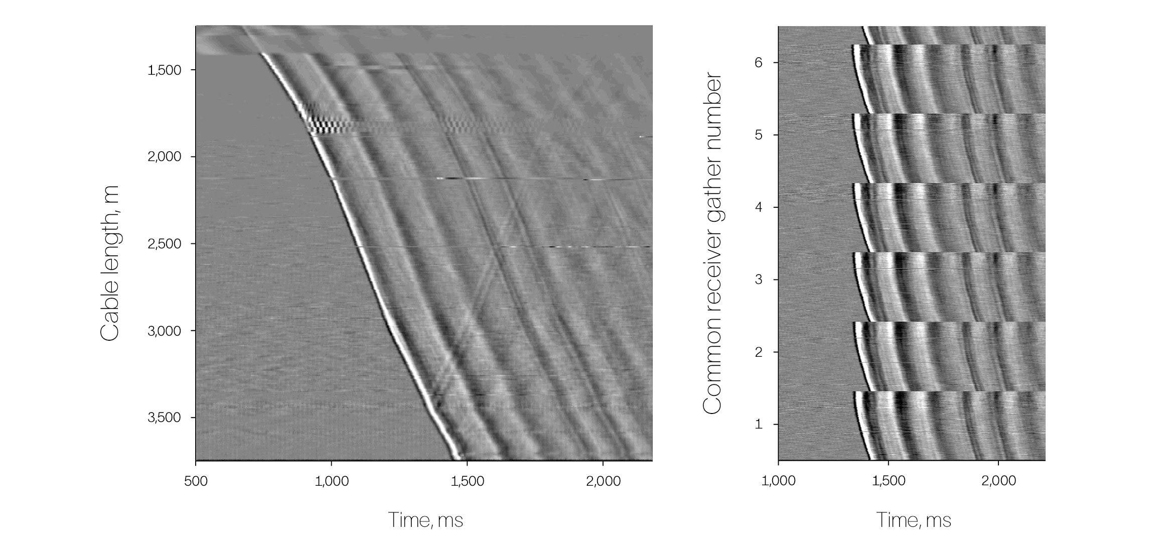 Vertical incidence shots extracted from the DAS walkaway survey.