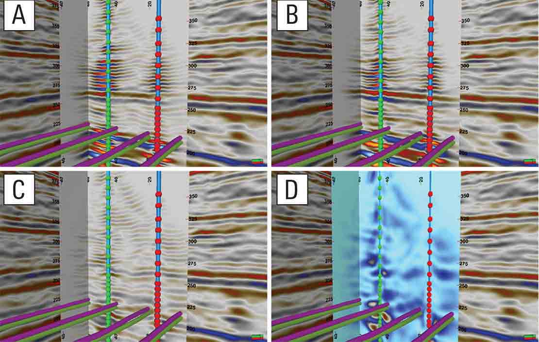 3D views of a SAGD baseline 3D VSP survey.