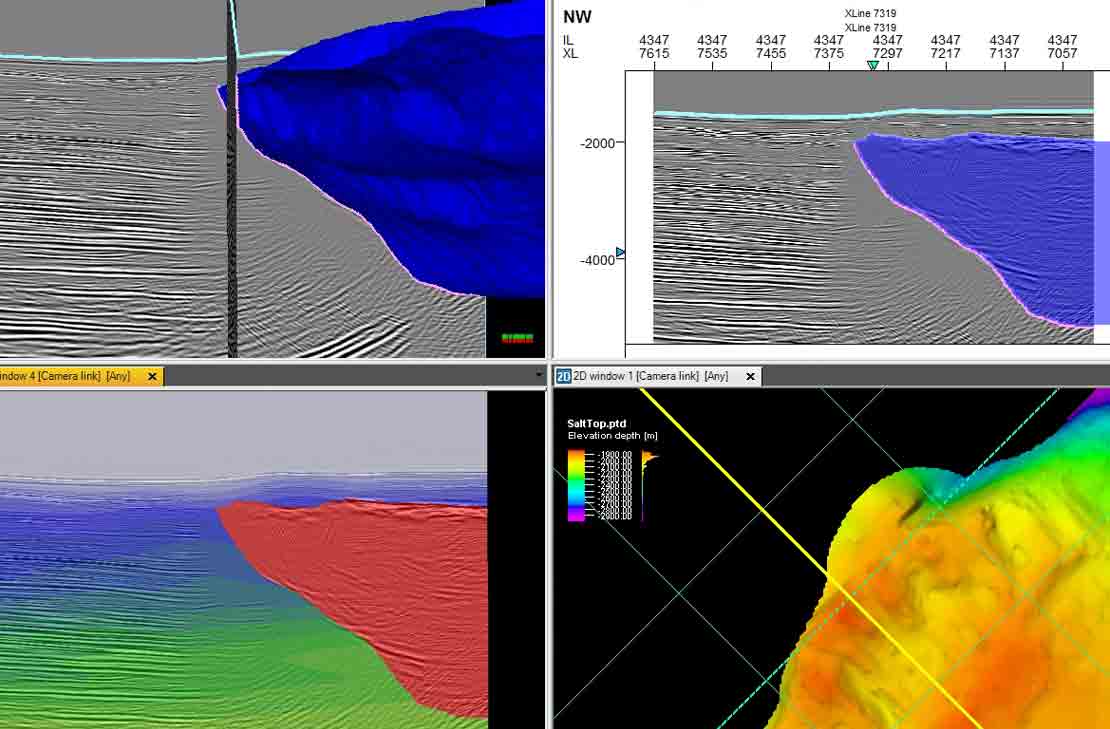 Seismic Processor Plus Profile