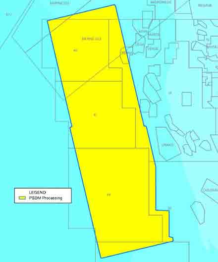 Survey map of Angola depth imaging project.