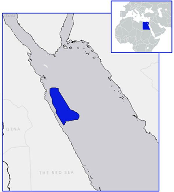 Full scale 3D reimaging from field tapes.