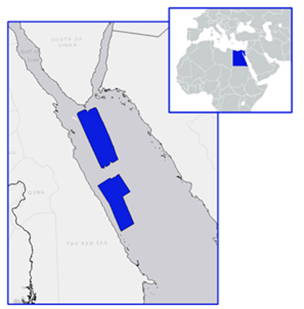 Full scale 3D reimaging from field tapes