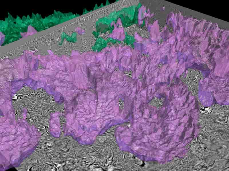 Data show the omplex subsalt and thrusted structures of the Perdido Fold Belt. 