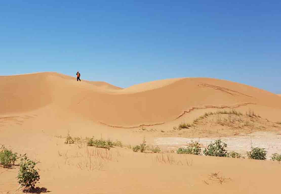 Person standing on sand dune.