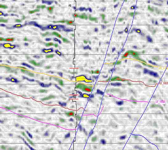 Density contrast section generated by joint PP-PS inversion - needed for distinguishing fizz gas from commercial gas reserves.