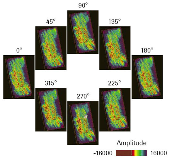 Wide-azimuth P-amplitude maps showing azimuthal variations due to seismic anisotropy.