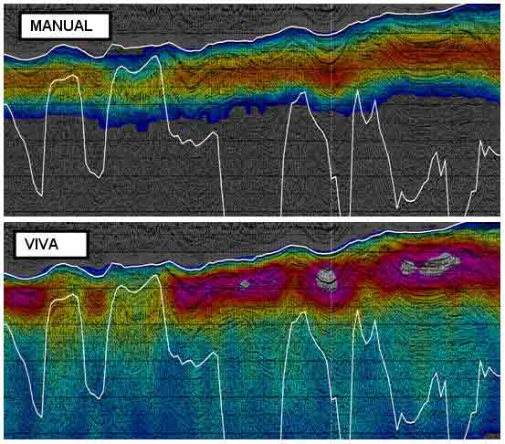 Anisotropic velocity field derived using manual picking and automatically using VIVA from a coarse seed grid.