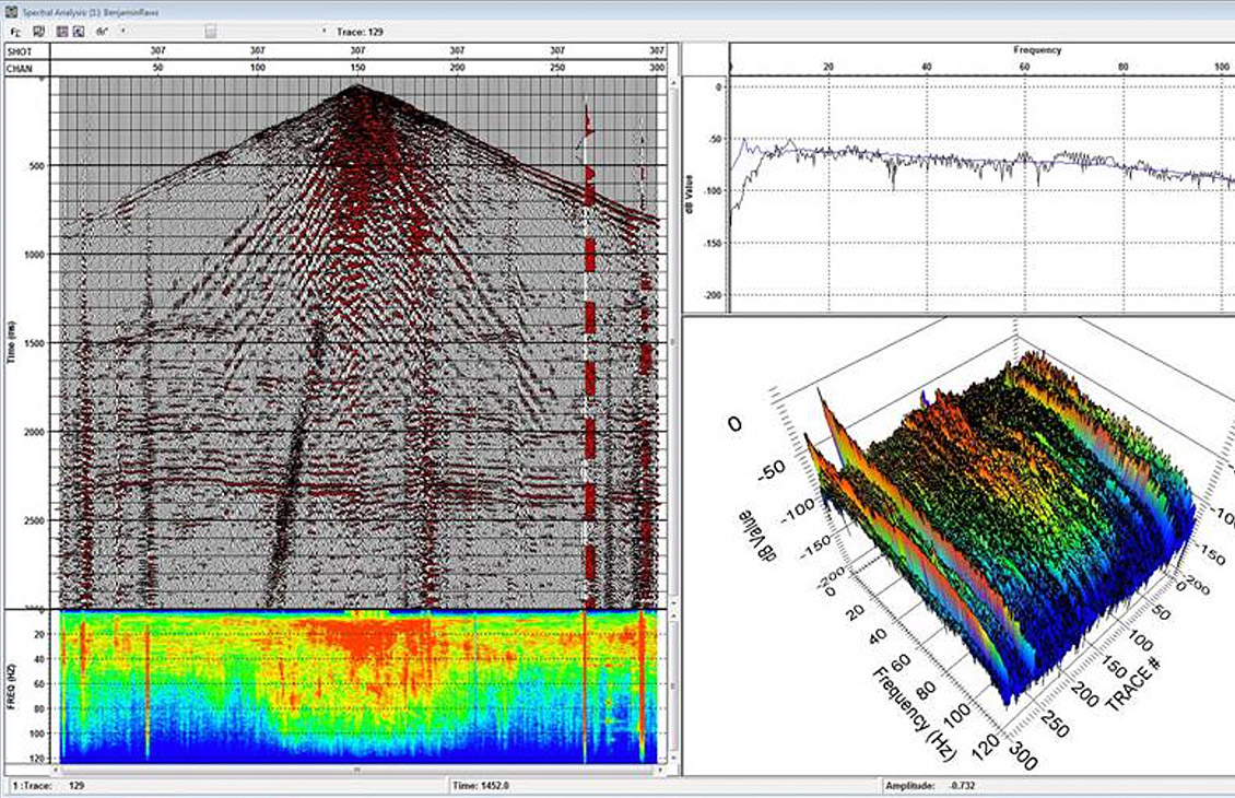 DELFI Seismic Processor