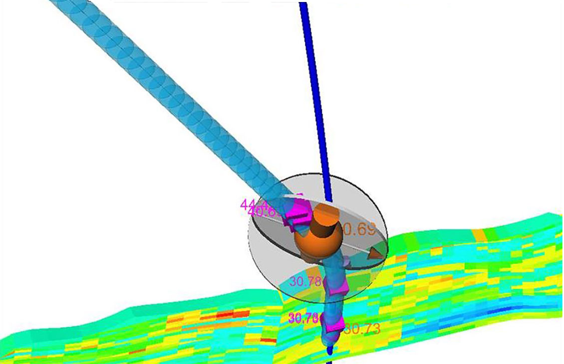 Petrel Trajectory Planning