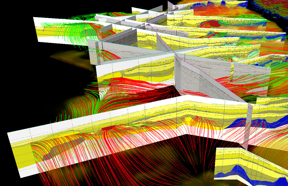 Petroleum Systems Software