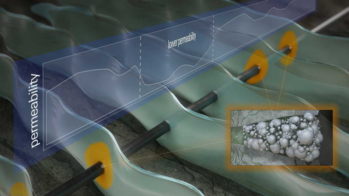 OpenPath Stimulation Services helps stimulation fluid reach less permeable areas