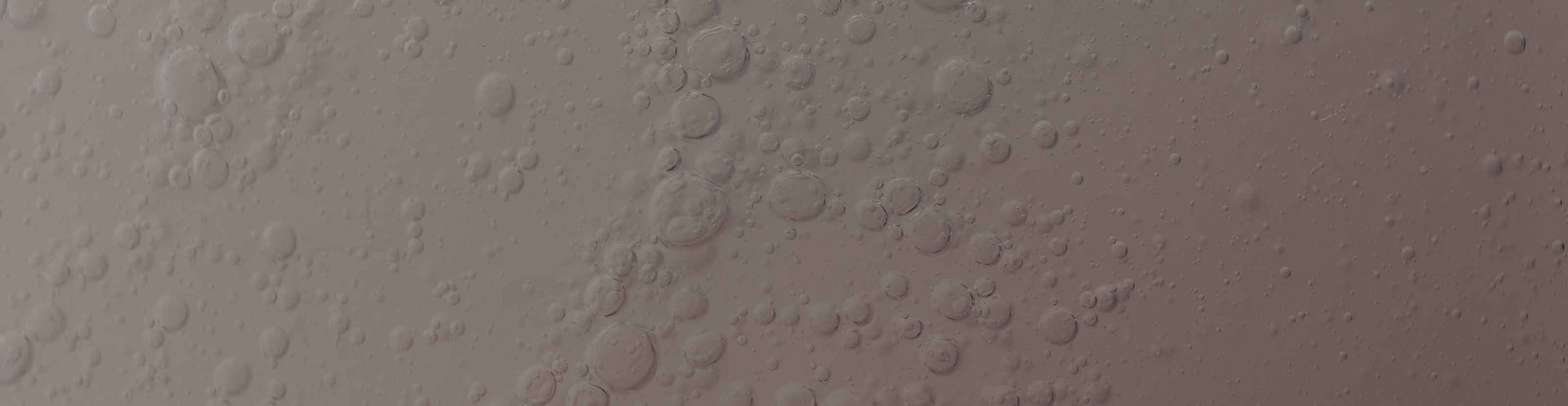 textured image
