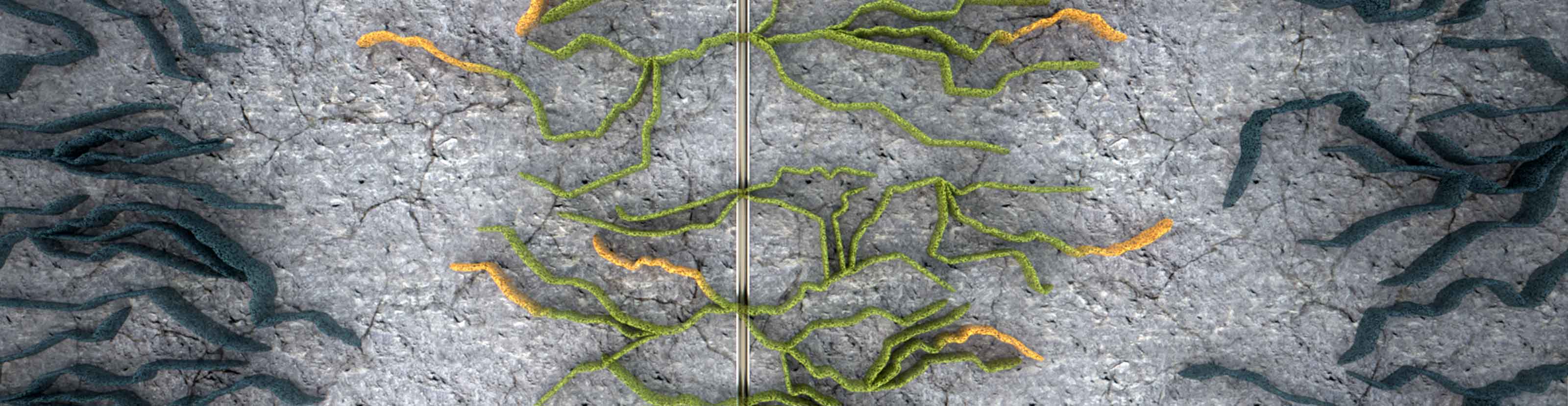 BroadBand Shield service is used to stimulate an infill well (light green), far-field diversion (yellow) limits fracture growth outside of the designed fracture area, preventing communication with neighboring wells and increasing fracture complexity.