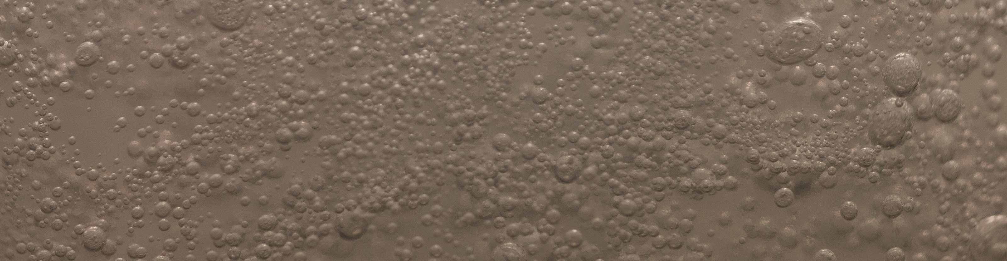Sand texture
