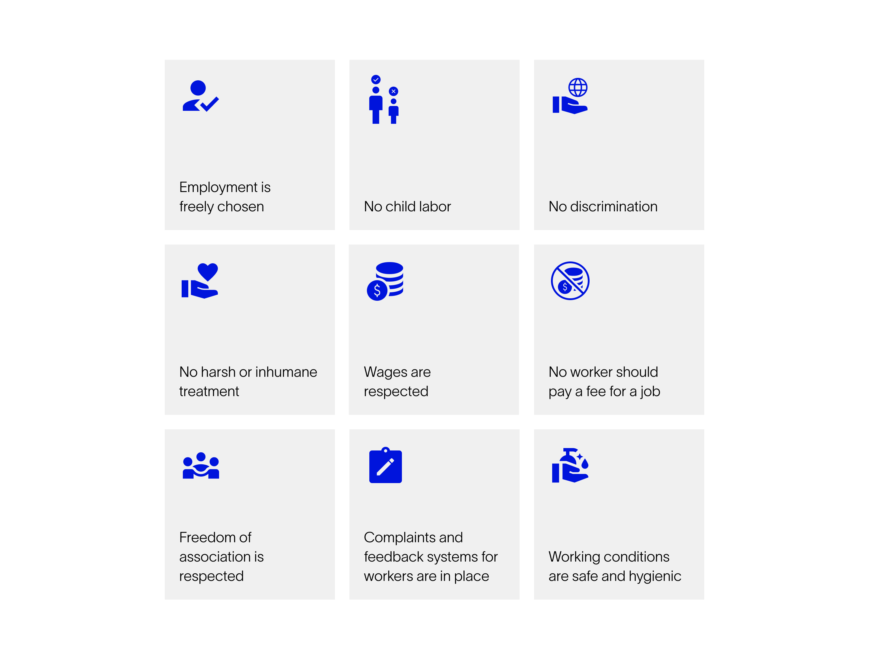 9 Principles of Human Rights