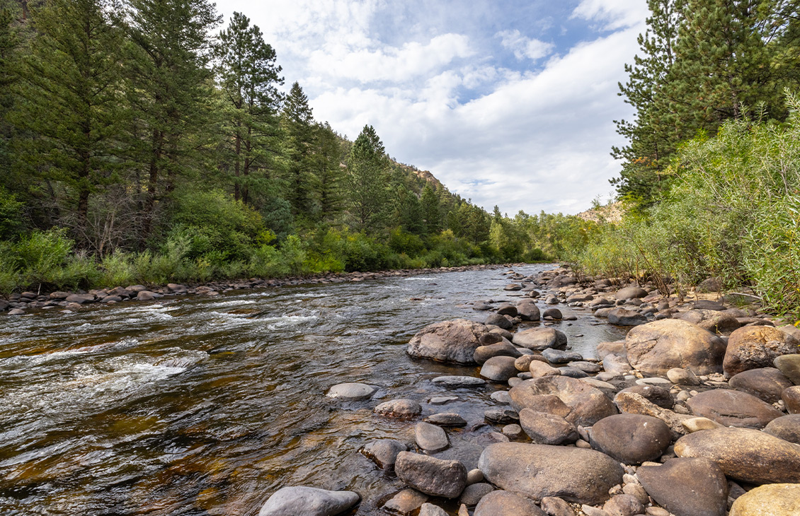 Stream flowing in a forest with blue skies