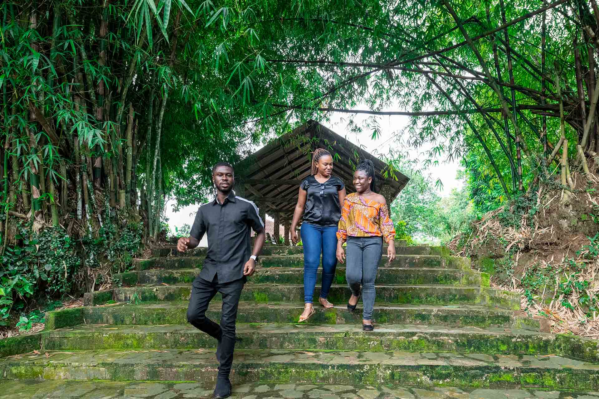 Three people walking down steps through a forest