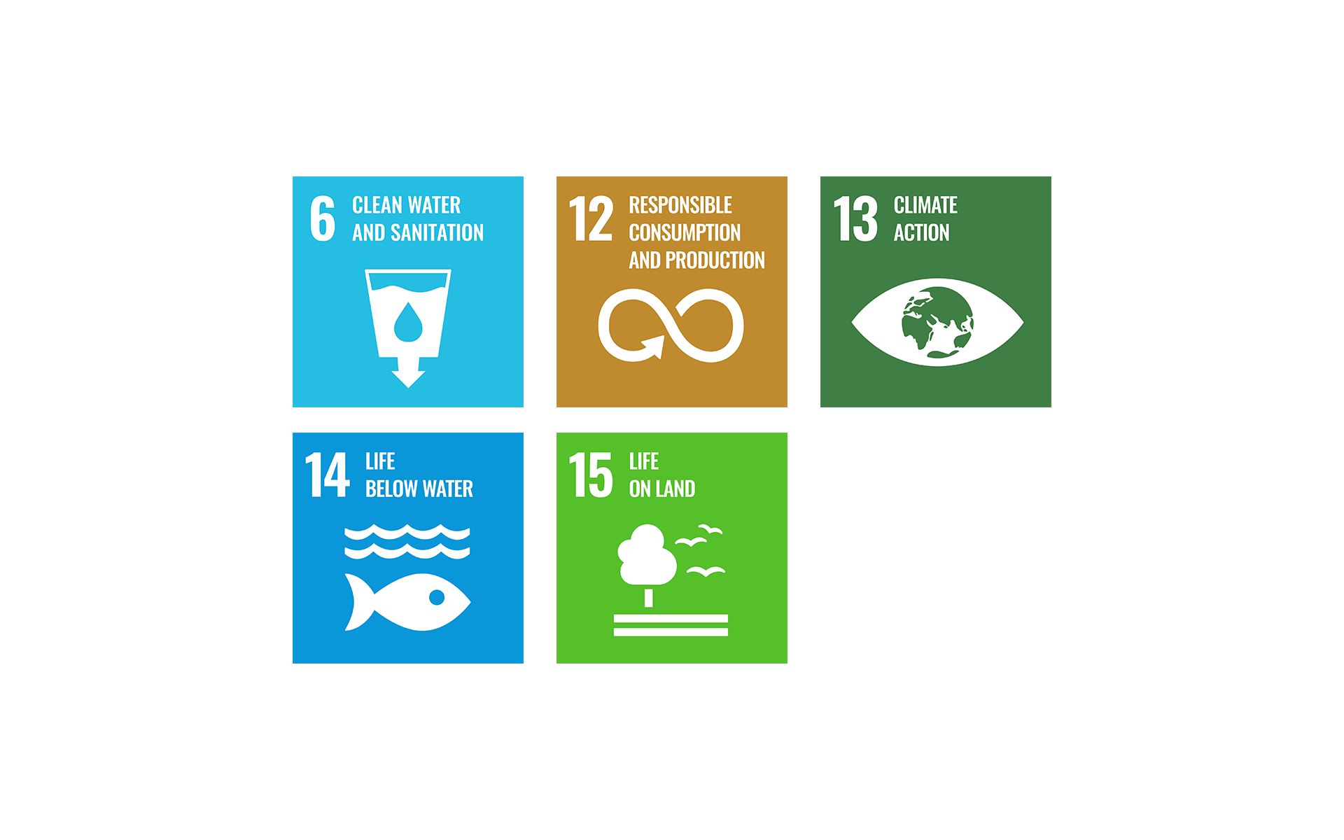 Sustainable Development Goals (SDGs) 6, 12, 13, 14, and 15