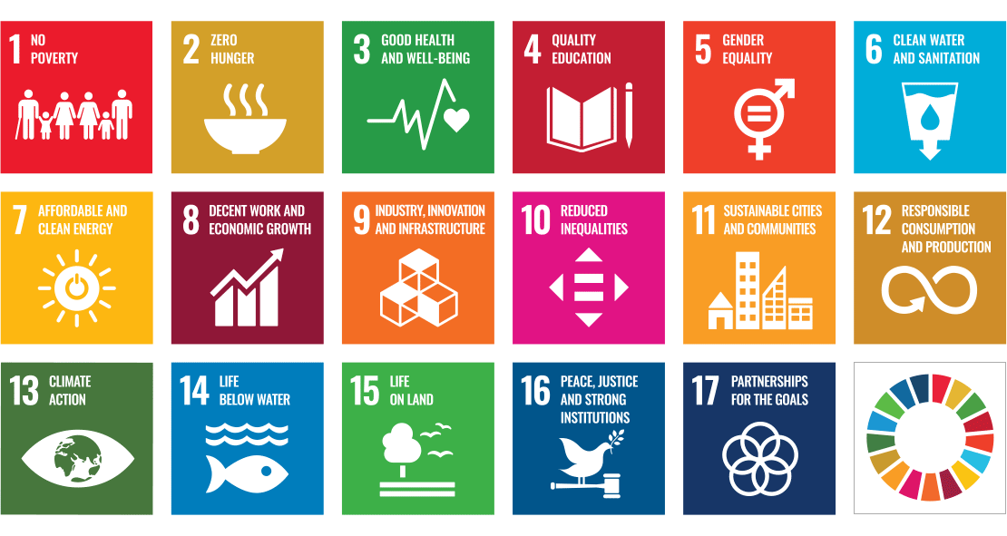 Graphic representation of the 17 UN Sustainable Development Goals.
