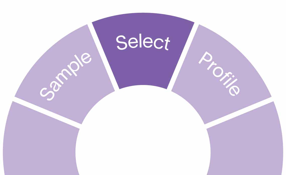 Image Symphony testing wheel  with Select chosen