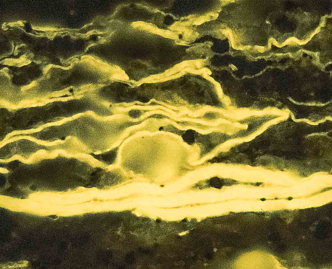 Petrology services