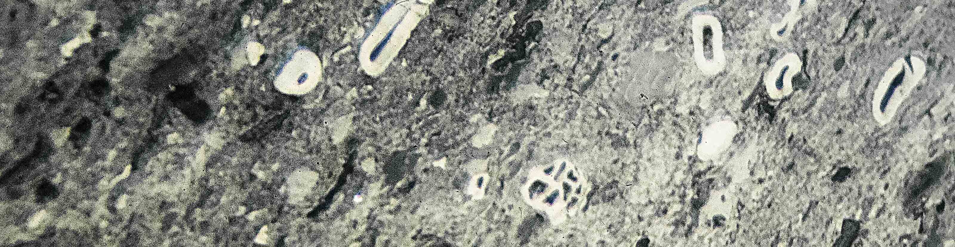 Petrology services banner