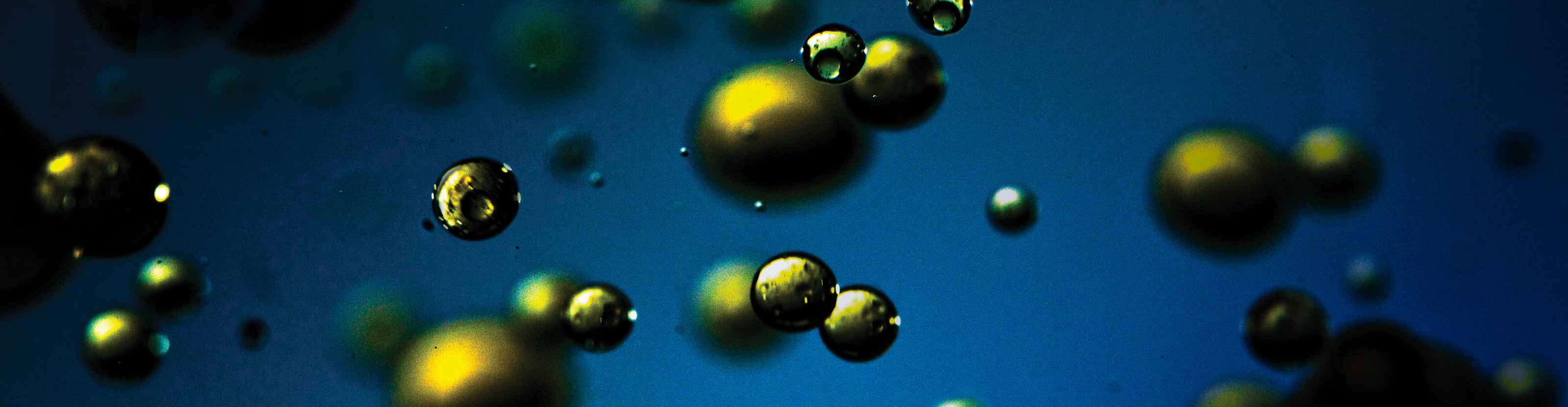 ClearPhase Mobile Testing Discharge Treatment