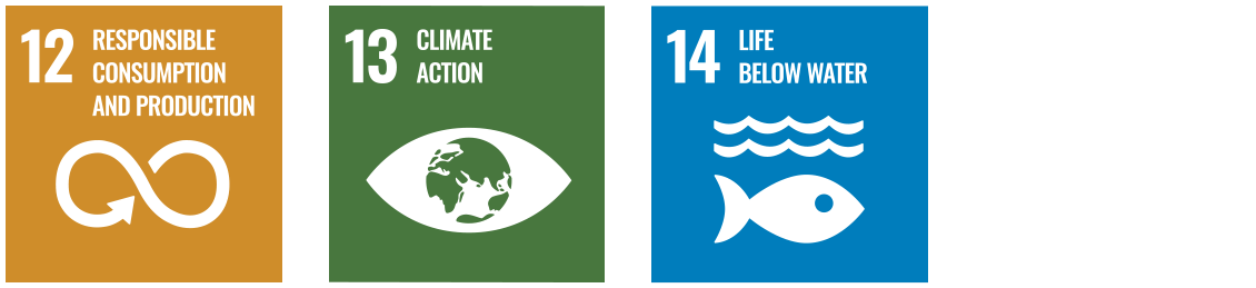 UN SDG icons 12, 13, and 14 UN SDG icons 12, 13, and 14