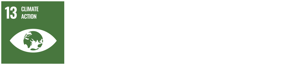 UN SDG icon 13