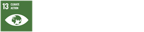 UN SDG icon 13