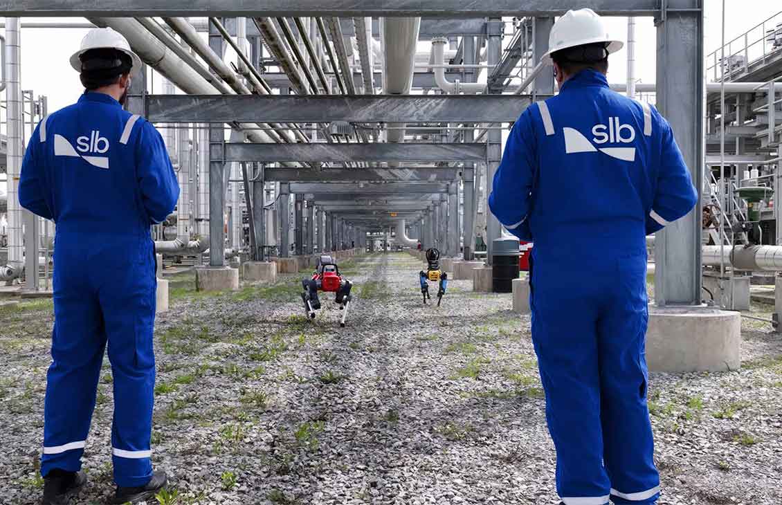 Autonomous Robotic Inspections