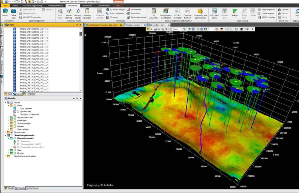 Delfi On Demand Reservoir Simulation - Simulate multiple cases from Petrel RE