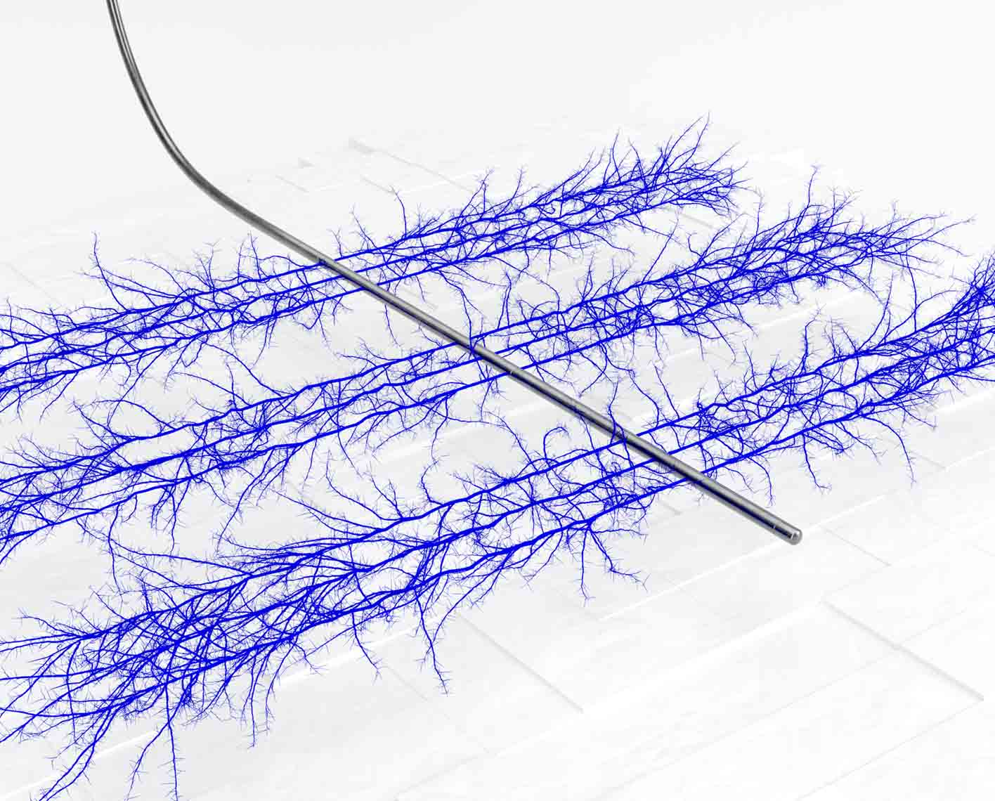 3D Rendering of OpenPath Flex service