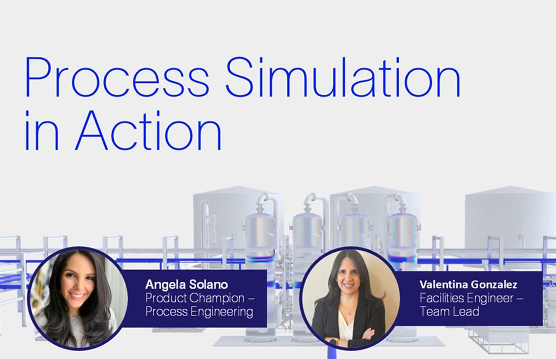 Process Simulation in action