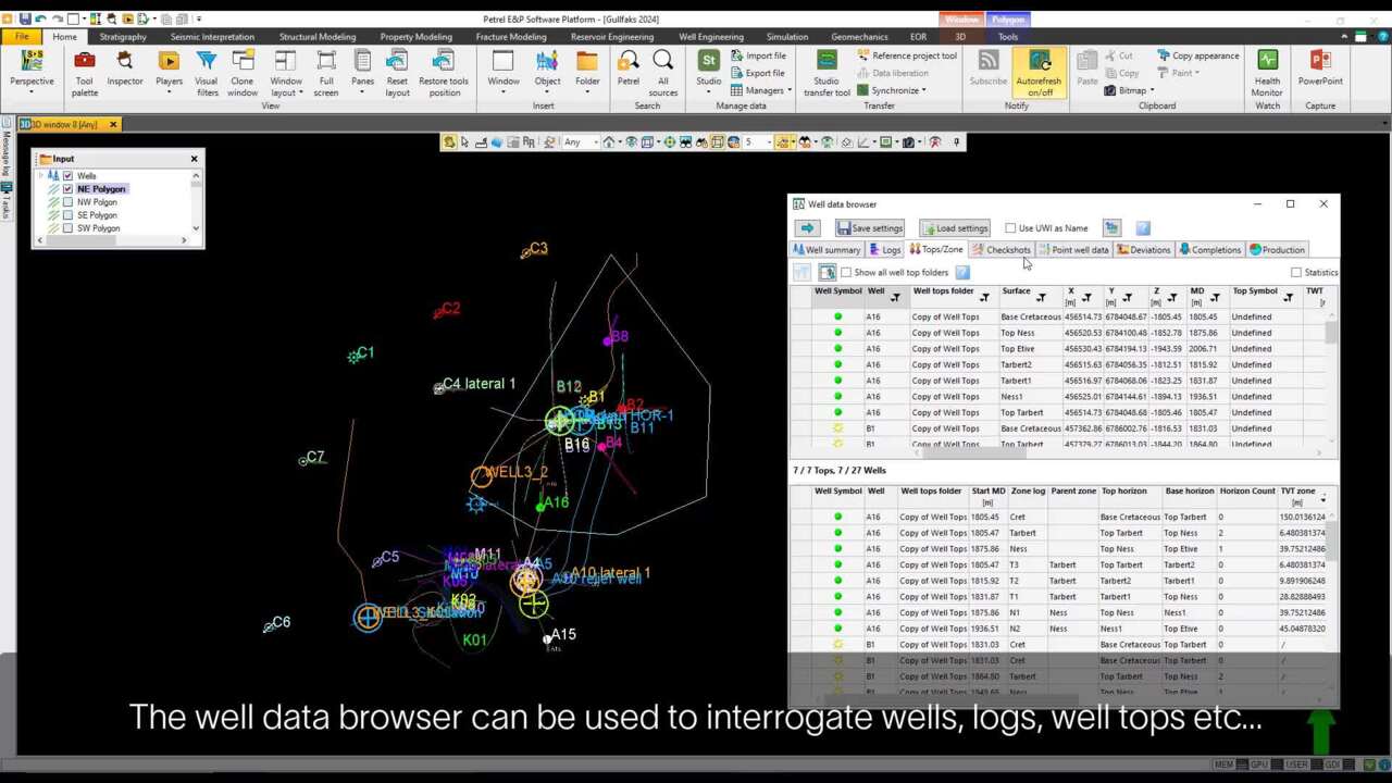 Well data browser - filter wells by polygon