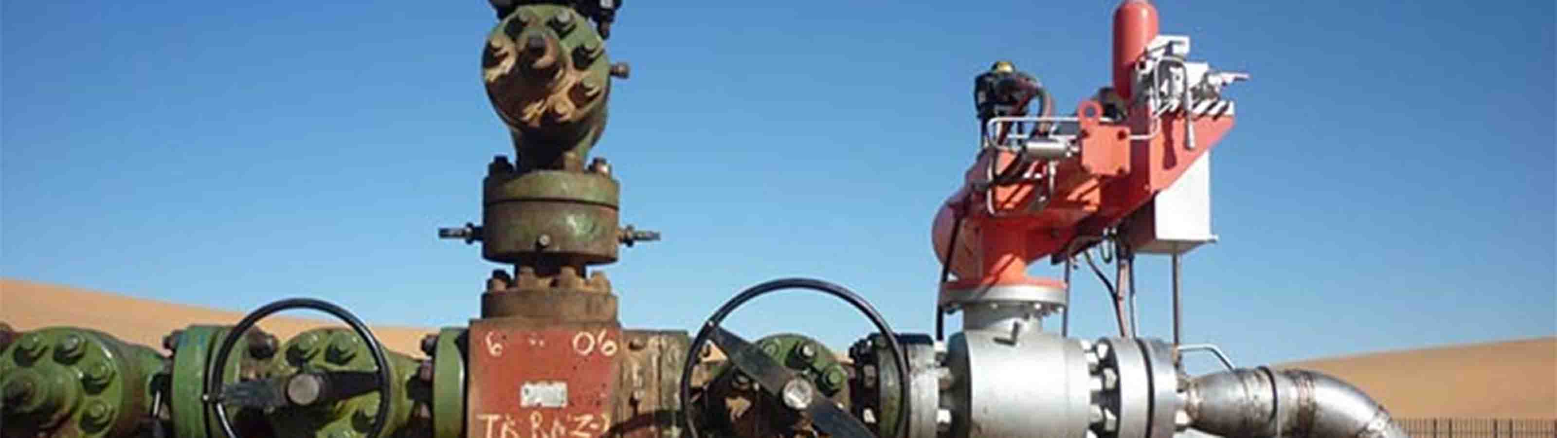 LEDEEN hydraulic actuators.