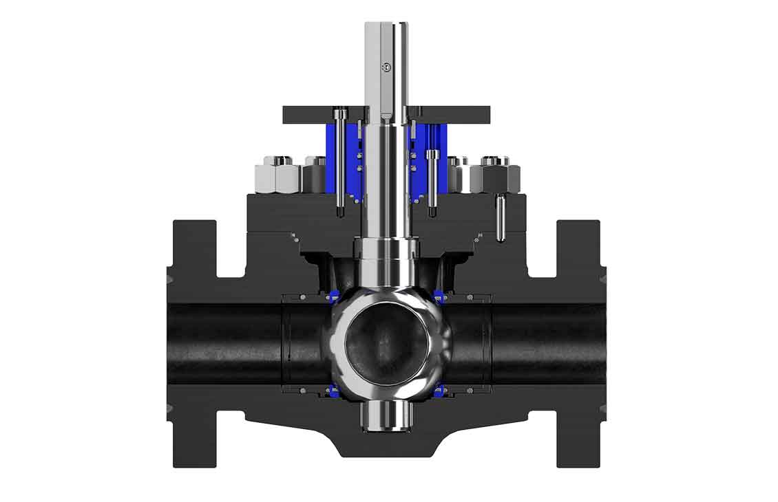 Cutaway view of a BT Grove valve.