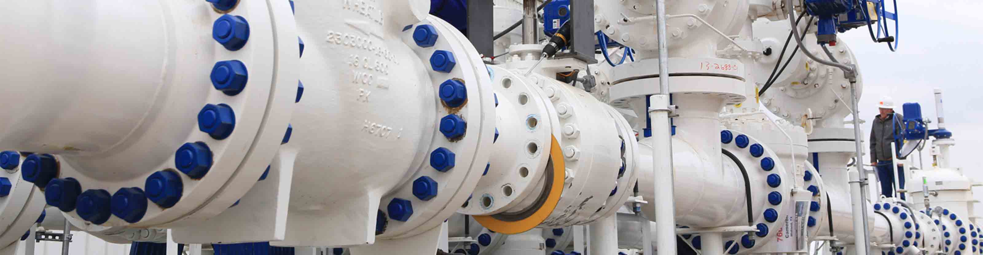 Operator inspecting a check valve