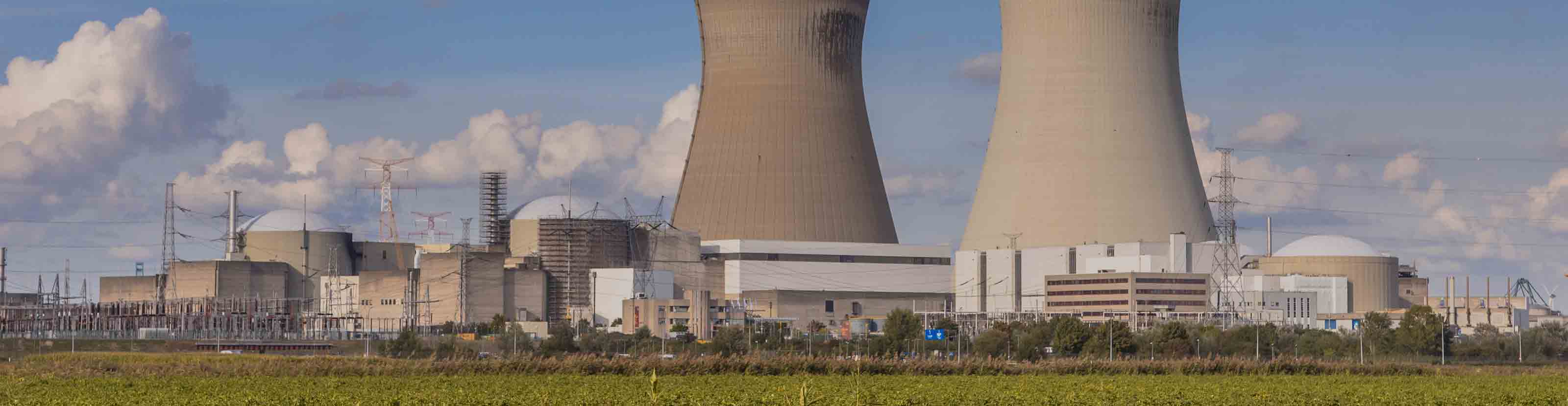 Nuclear power plant and cooling tower