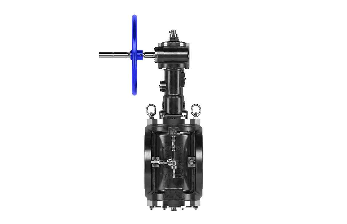 3D image of a plug and diverter valve